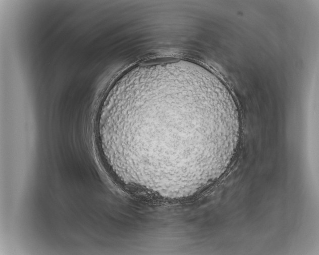 X0000110860097200907091348