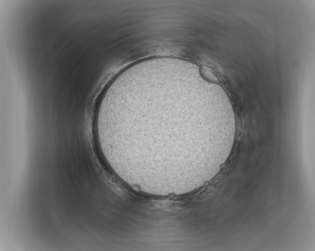 X0000110860098200907091348
