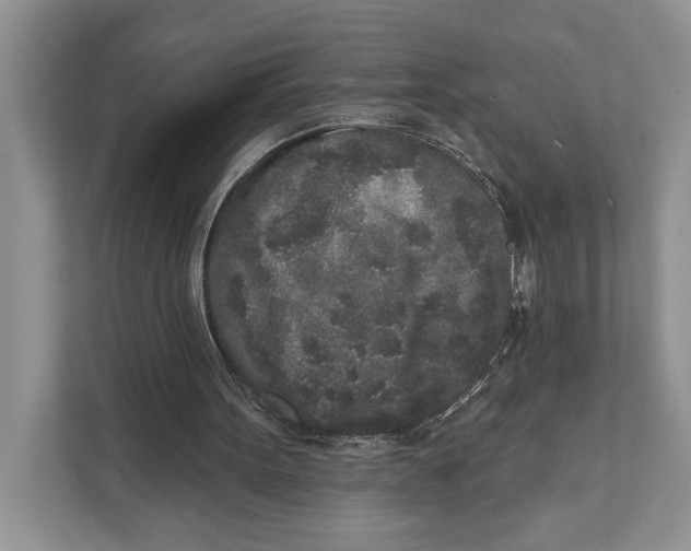 X0000110860099200907091348