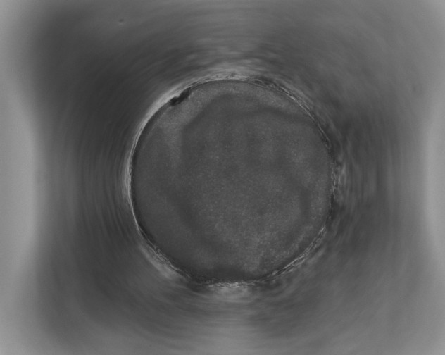 X0000110860100200907091348