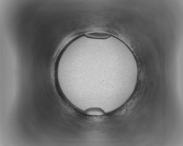 X0000110860103200907091348