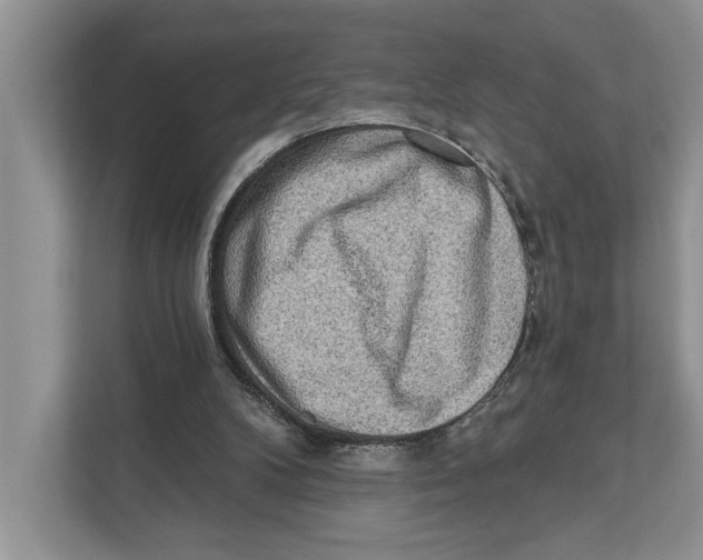 X0000110860104200907091348
