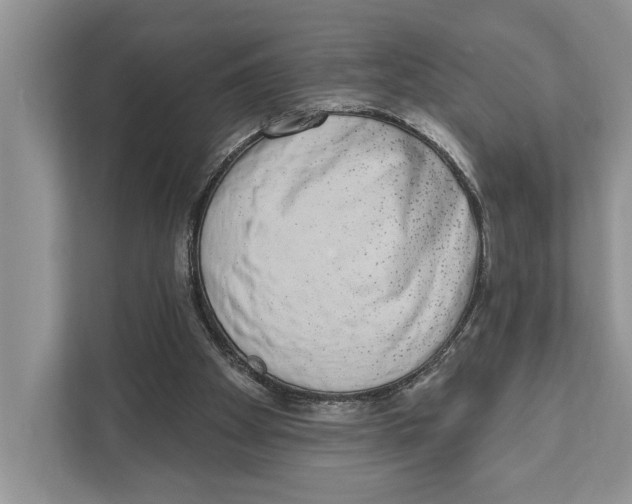 X0000110860105200907091348