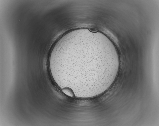 X0000110860107200907091348