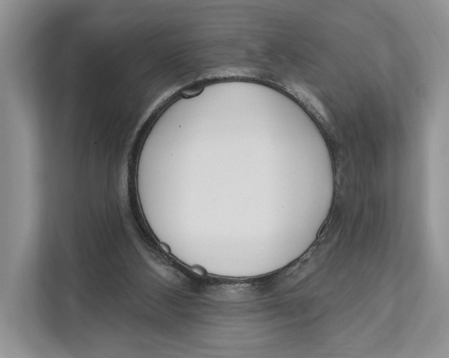 X0000110860108200907091348