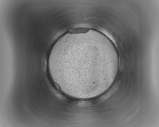 X0000110860109200907091348