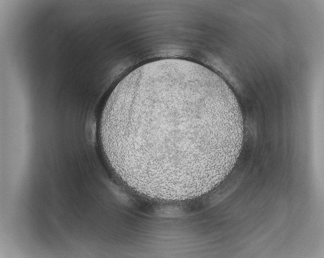 X0000110860110200907091348