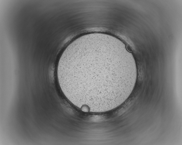 X0000110860111200907091348
