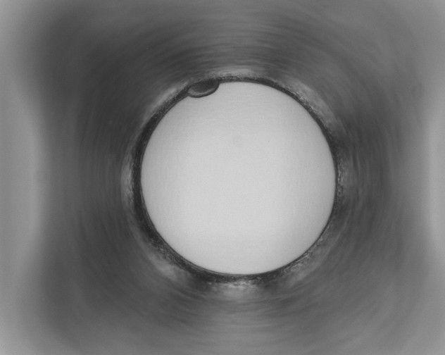 X0000110860112200907091348