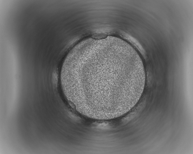 X0000110860113200907091348