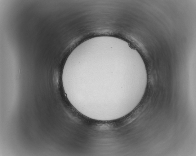 X0000110860115200907091348