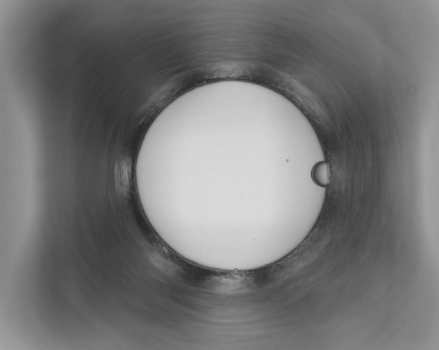 X0000110860118200907091348