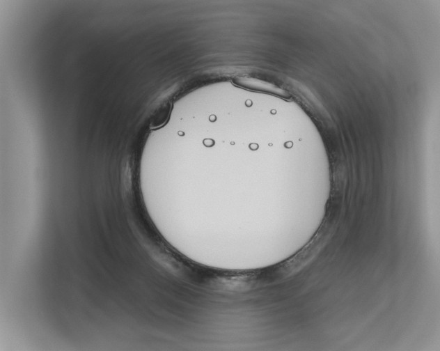 X0000110860120200907091348