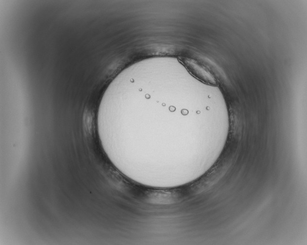 X0000110860123200907091348