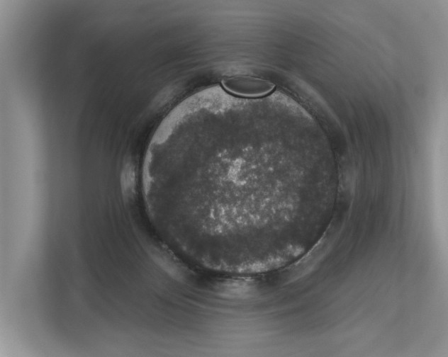 X0000110860124200907091348