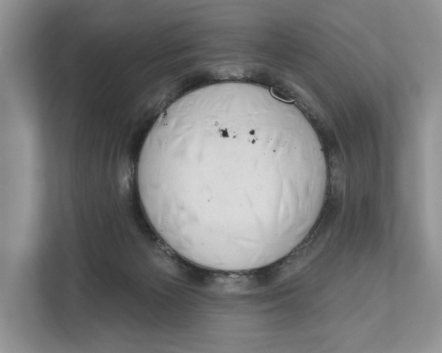 X0000110860125200907091348