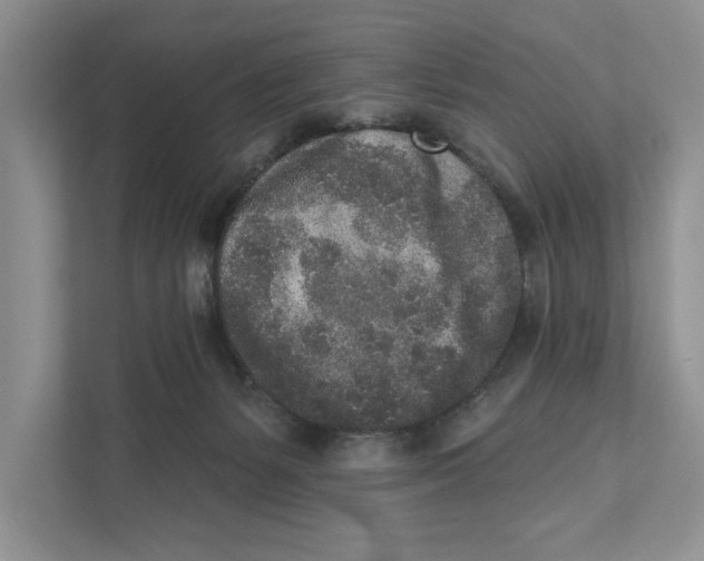 X0000110860127200907091348