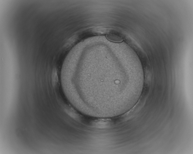 X0000110860128200907091348