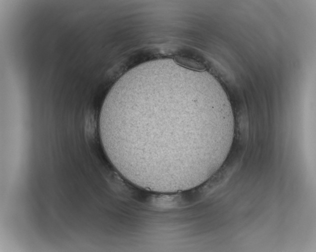 X0000110860129200907091348