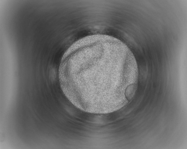 X0000110860130200907091348