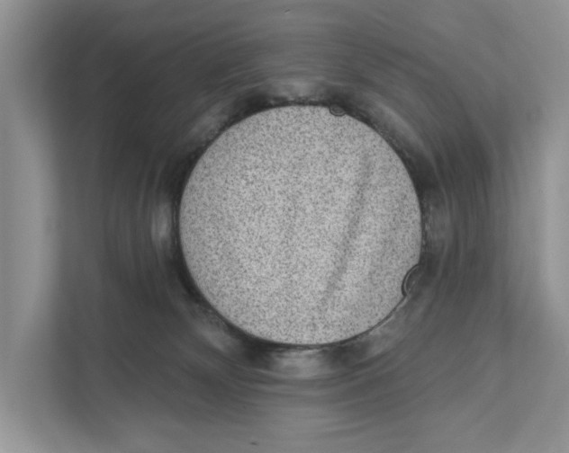 X0000110860132200907091348