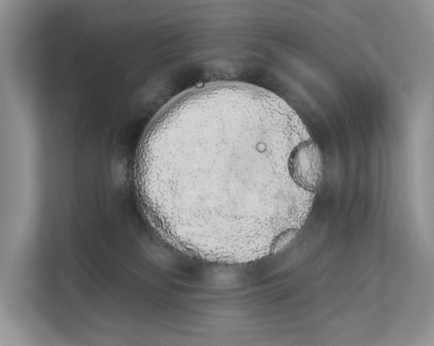 X0000110860134200907091348
