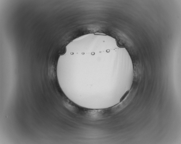 X0000110860136200907091348