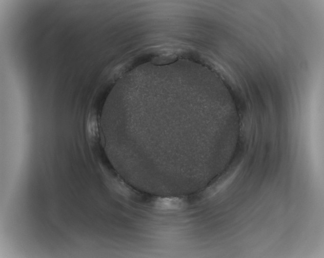 X0000110860137200907091348