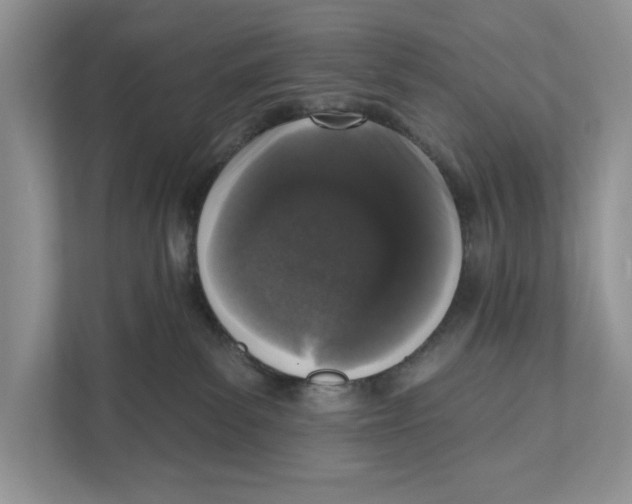 X0000110860139200907091348