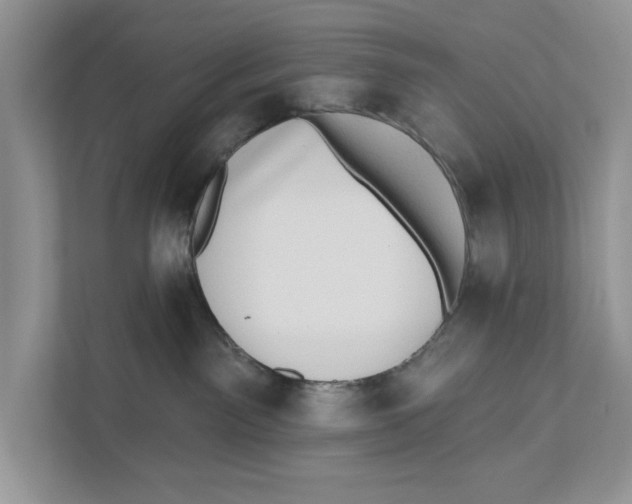 X0000110860141200907091348