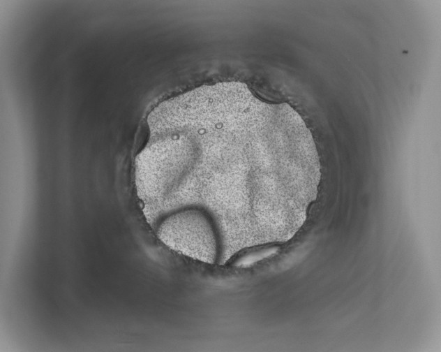 X0000110860144200907091348