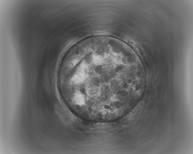 X0000110860145200907091347