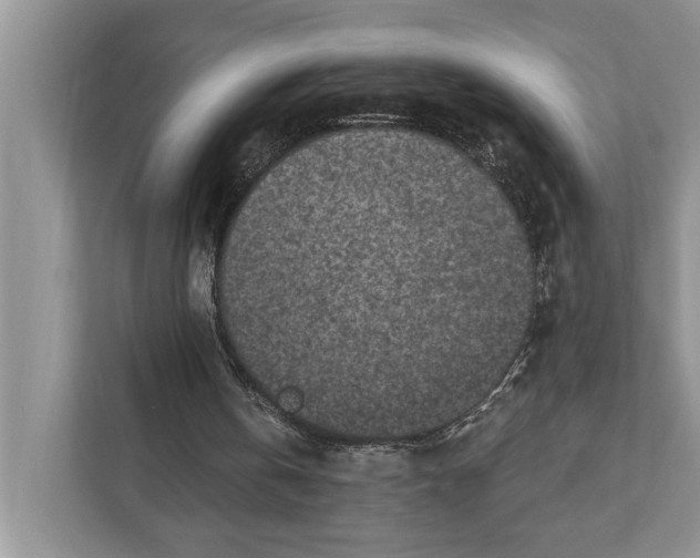 X0000110860146200907091347