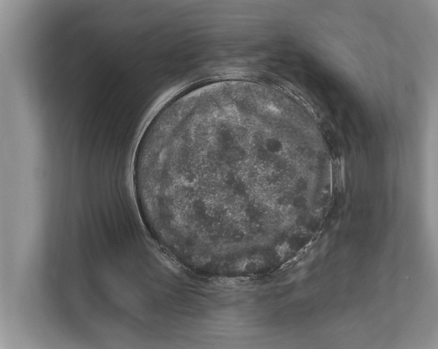 X0000110860147200907091347