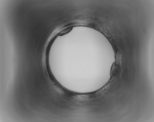 X0000110860150200907091347