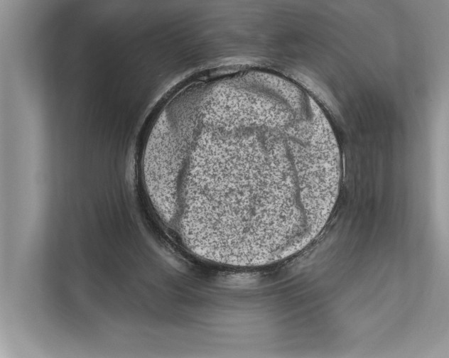 X0000110860156200907091347