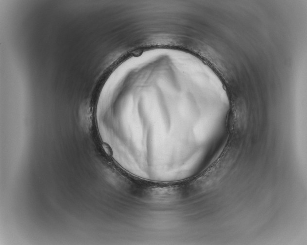 X0000110860160200907091347