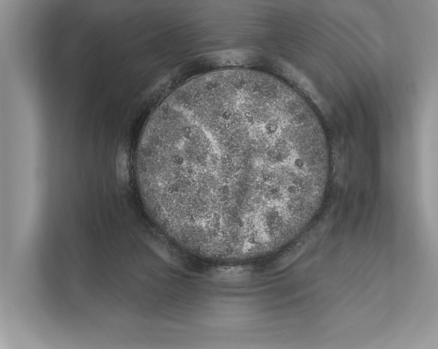 X0000110860161200907091347