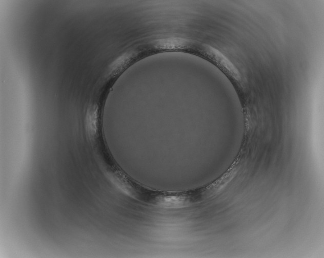 X0000110860163200907091347