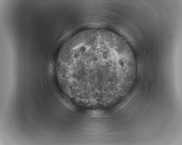X0000110860165200907091347