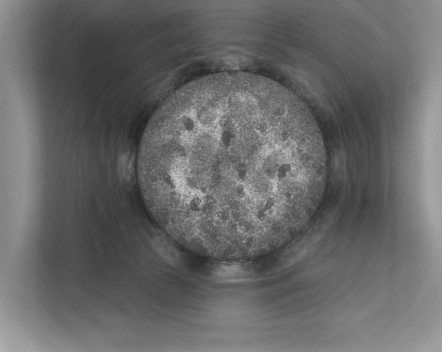 X0000110860177200907091347