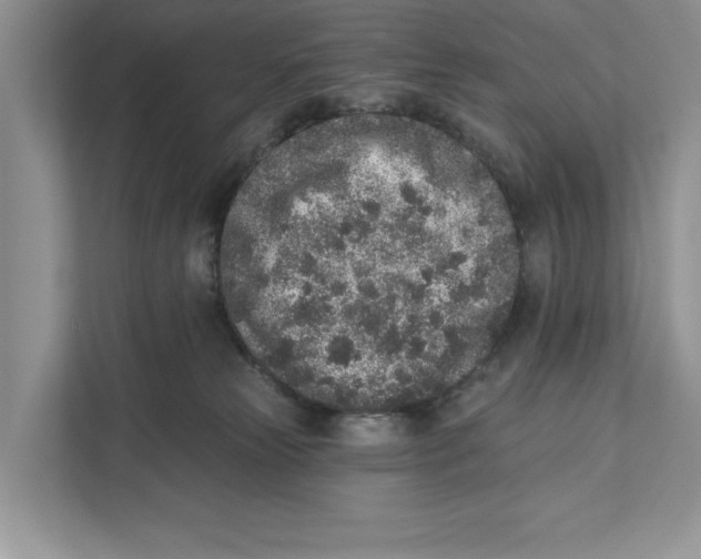 X0000110860181200907091347