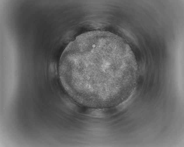 X0000110860182200907091347
