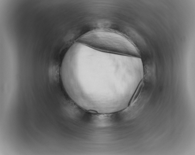 X0000110860184200907091348