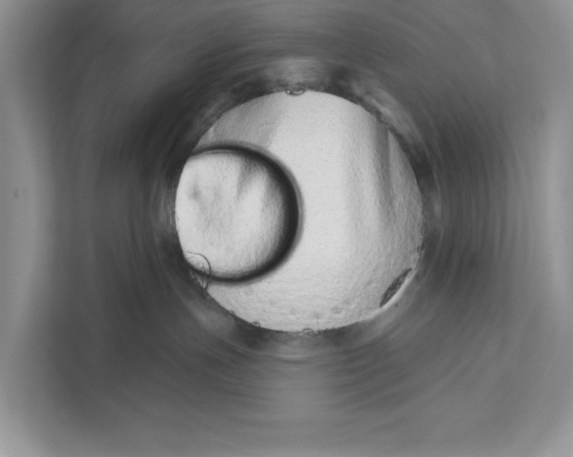 X0000110860191200907091348