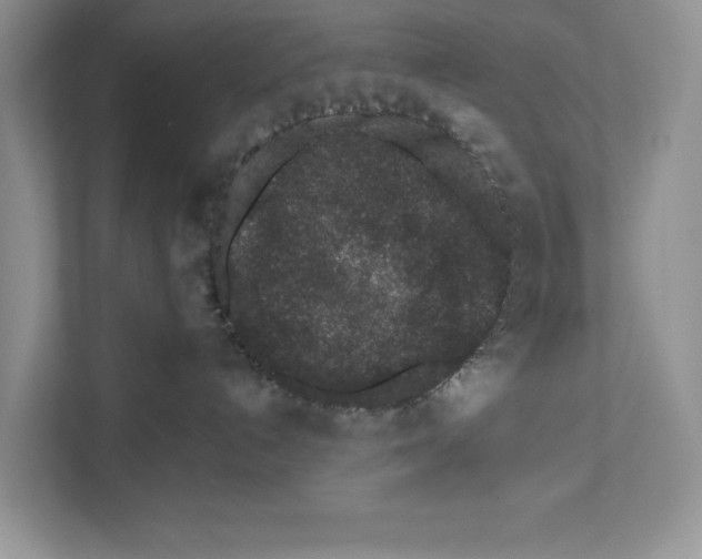 X0000110860192200907091348