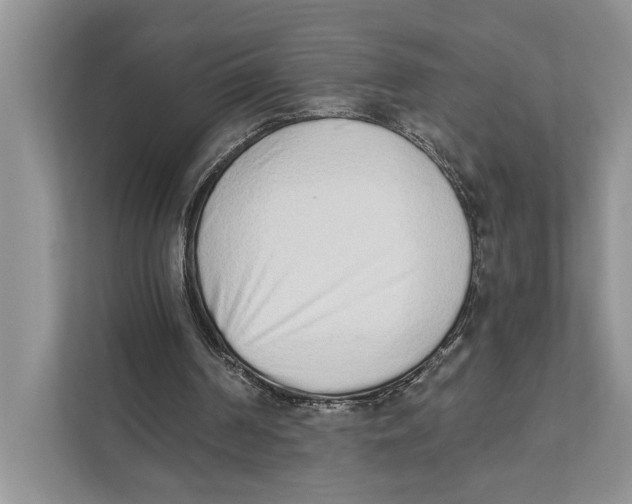 X0000110860194200907091347