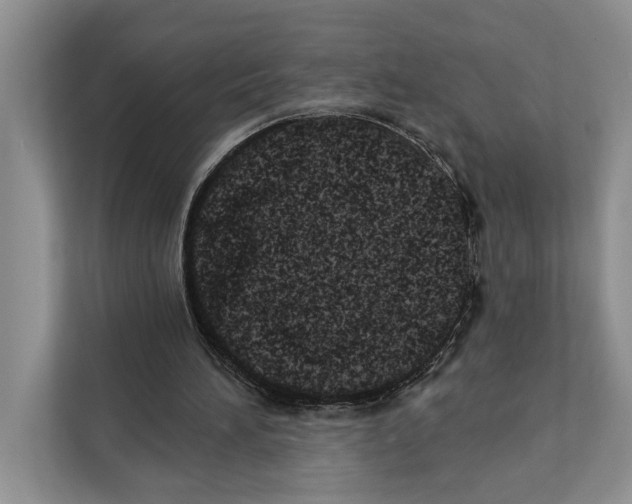 X0000110860196200907091347