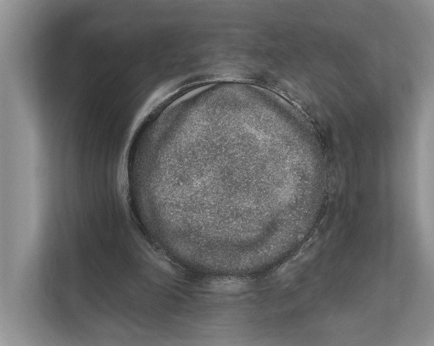 X0000110860198200907091347