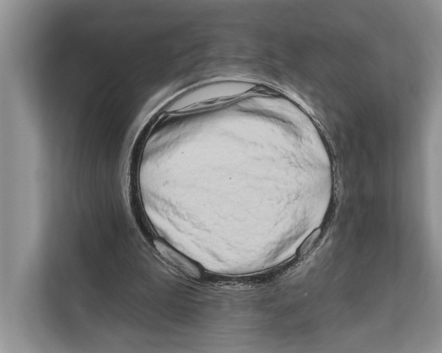 X0000110860199200907091347
